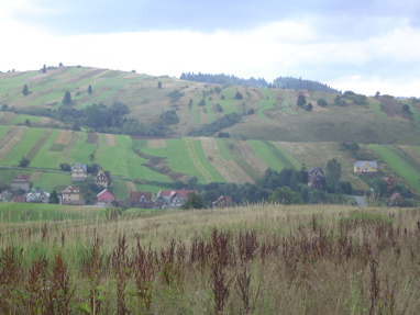 DSC06173