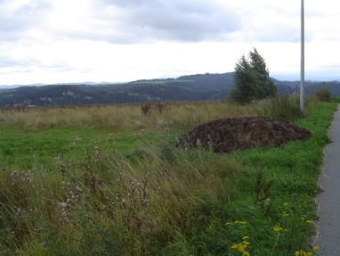 DSC00936
