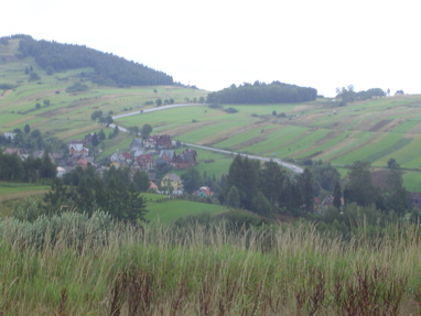 DSC06174