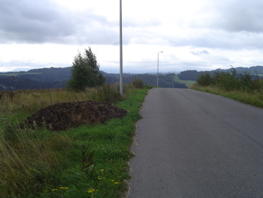 DSC00938