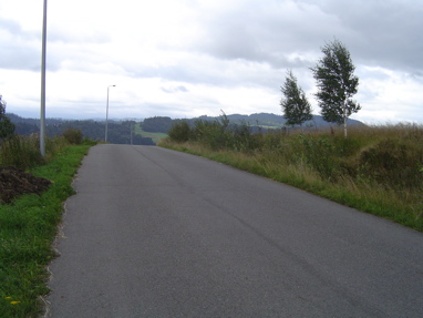 DSC00939