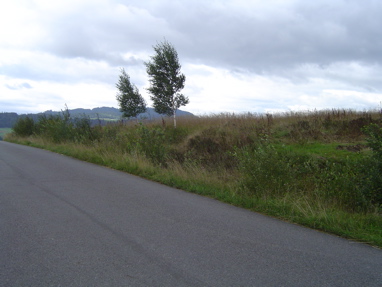 DSC00940