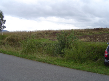 DSC00941