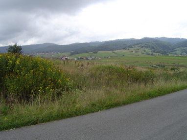 DSC00946