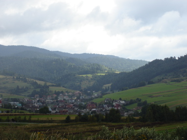 DSC03211
