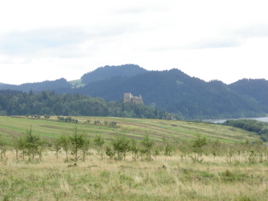 DSC03213