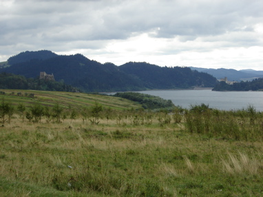 DSC03214