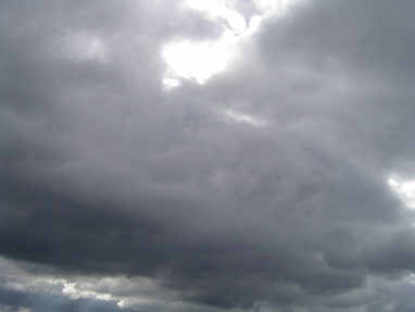 DSC00950