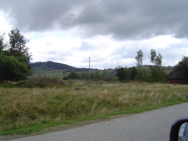 DSC00951