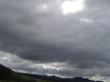 DSC00952