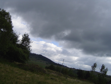 DSC00956