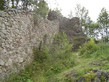 DSC01009