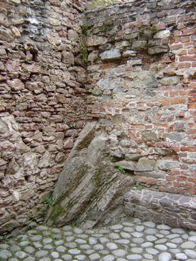 DSC03297
