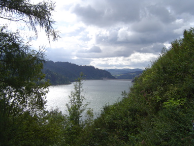 DSC01013