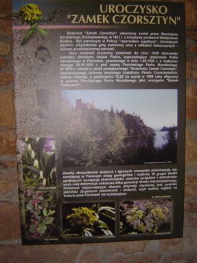 DSC01108