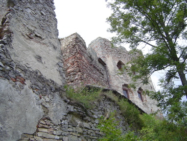 DSC01014
