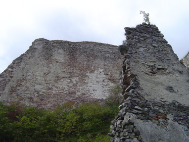 DSC01015