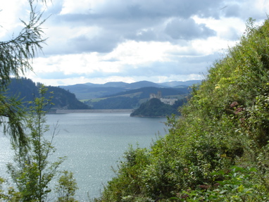 DSC03240