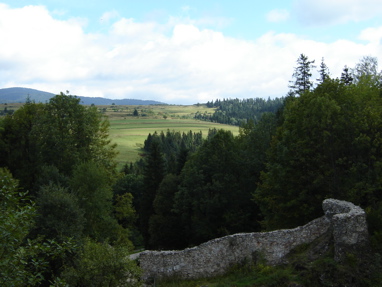 DSC03247