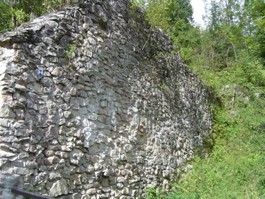 DSC01006