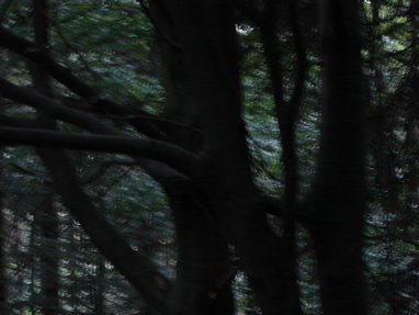 DSC03310