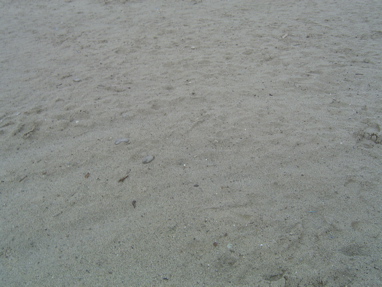 DSC06246