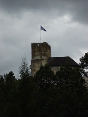 DSC03351