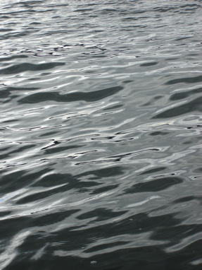 DSC03317