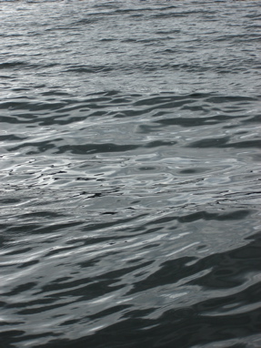DSC03318