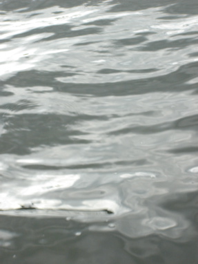 DSC03319