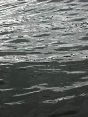 DSC03320