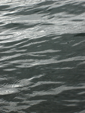 DSC03321