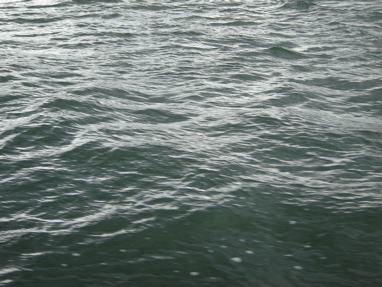 DSC03329