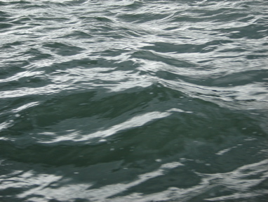 DSC03330