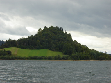 DSC03331