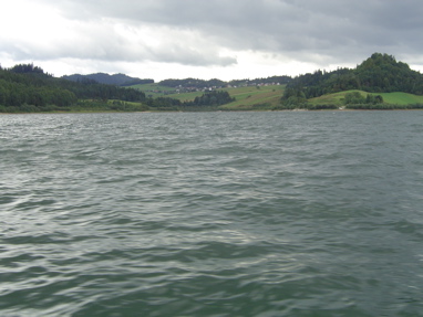 DSC06241