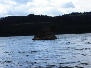 DSC03314
