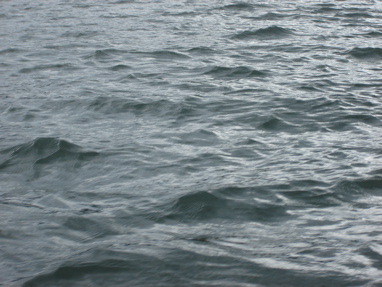 DSC03338