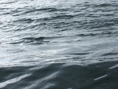 DSC03315