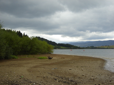 DSC03346