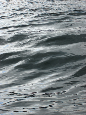 DSC03316