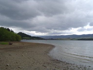 DSC01135