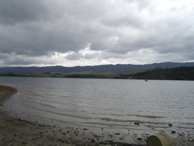DSC01136