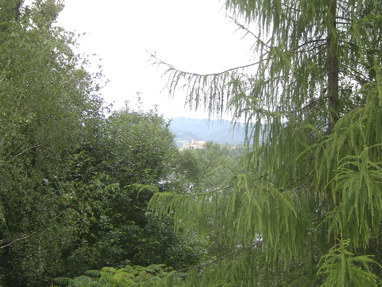 DSC01152
