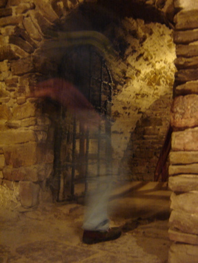 DSC03377