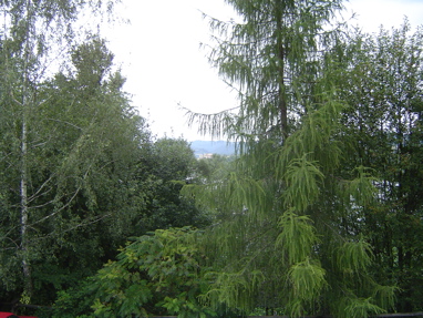 DSC01153
