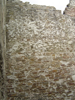 DSC06275