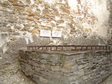 DSC01207