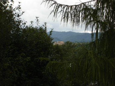 DSC03352