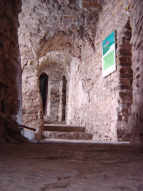 DSC03381